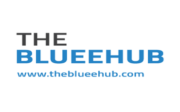 The Bluee Hub (1)