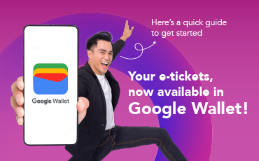 Googlewallet Web Box 370X230